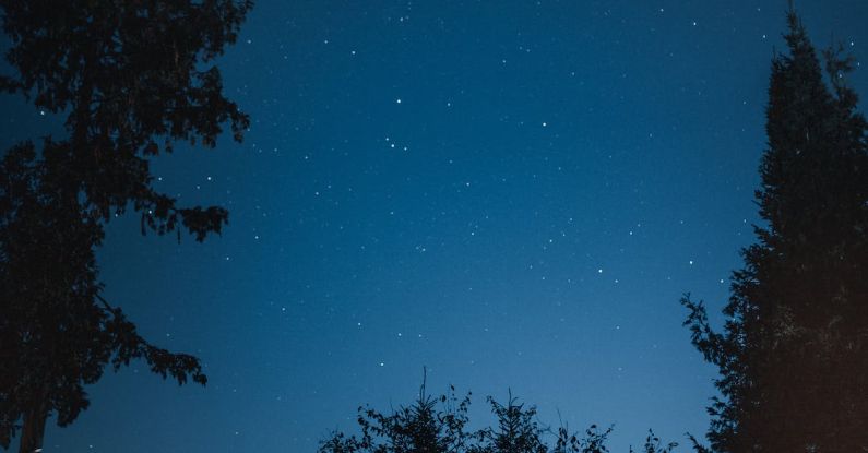 Tent - Photo of Tent at Near Trees
